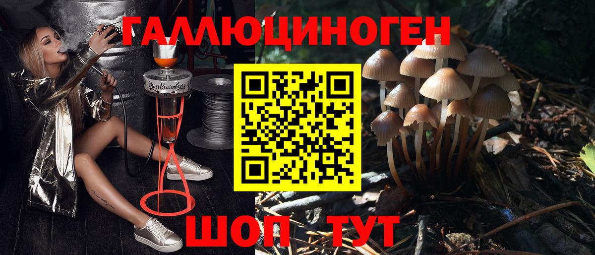 Галлюциногенные грибы прущие грибы  Вход с VPN  Красногорск 